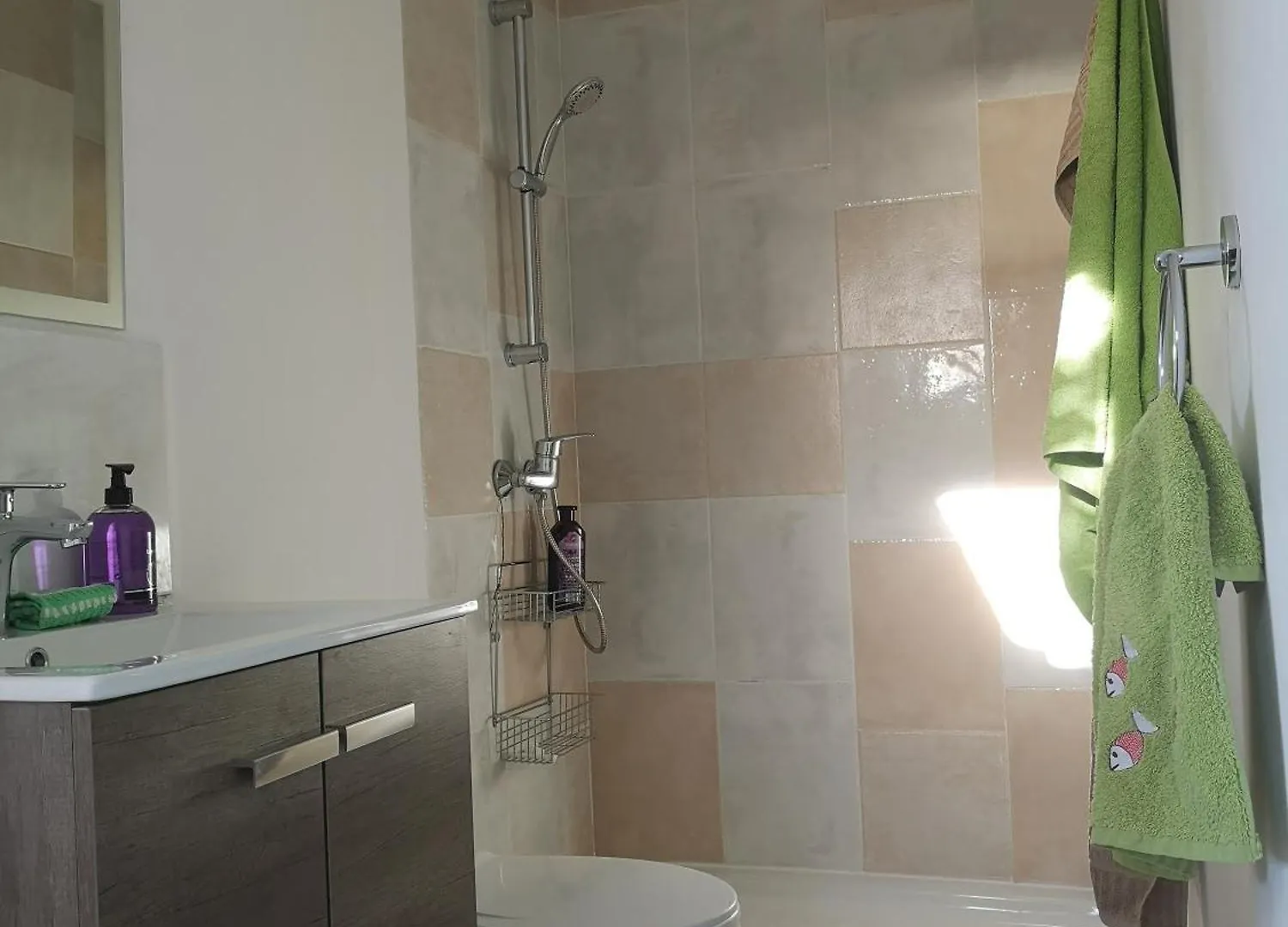 Roca Penthouse Apartment Estepona